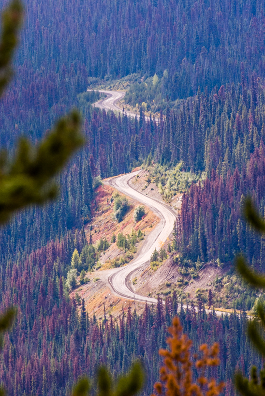 The Hill - On the Way to Bella Coola, BC