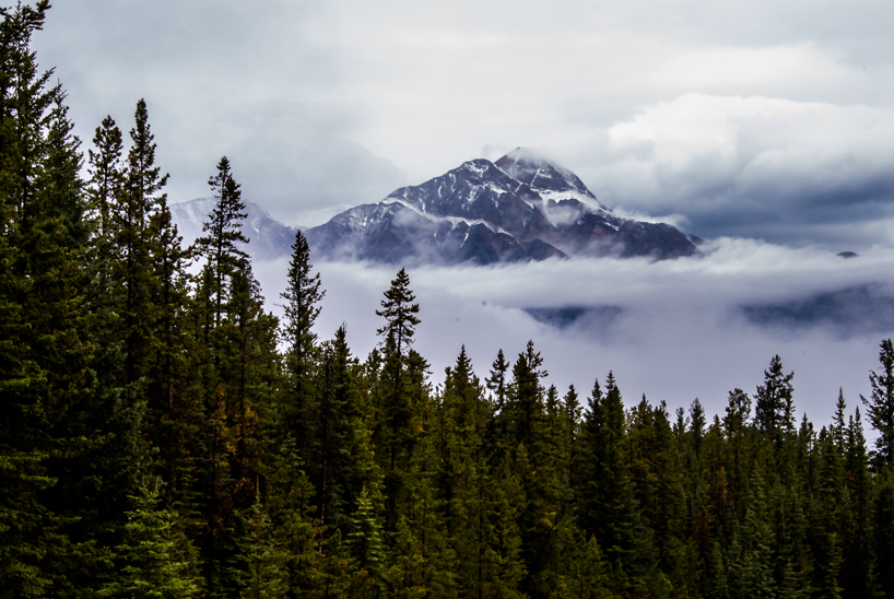 Low Clouds, Jasper National Park