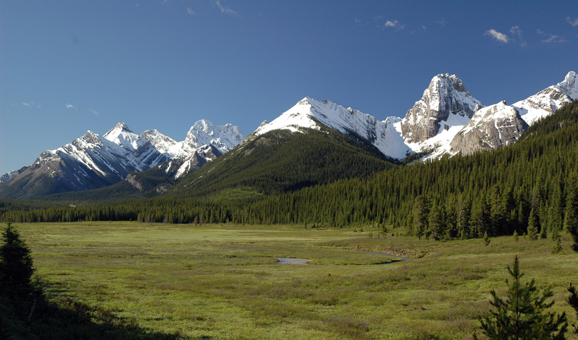 Meadow in Canadian Rockies