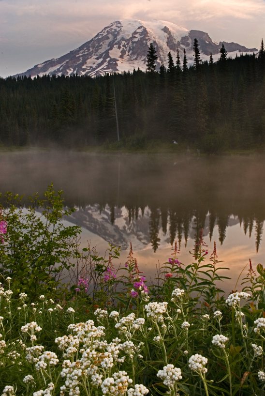 Mt. Rainier