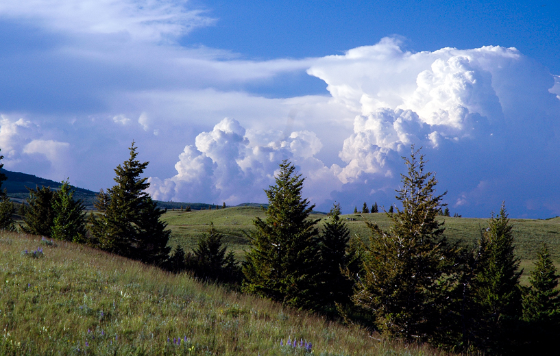 Prairie Storm